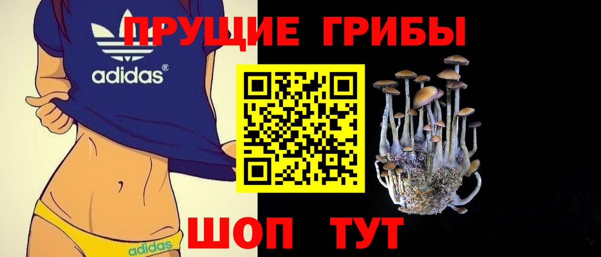 Галлюциногенные грибы мицелий Шали
